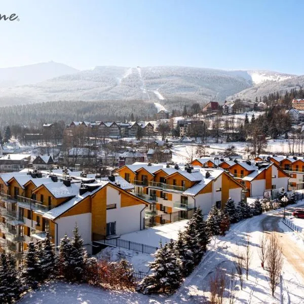 Wonder Home - Apartamenty z widokiem na góry, blisko wyciągów, szlaków turystycznych i restauracji，位于卡尔帕奇的酒店