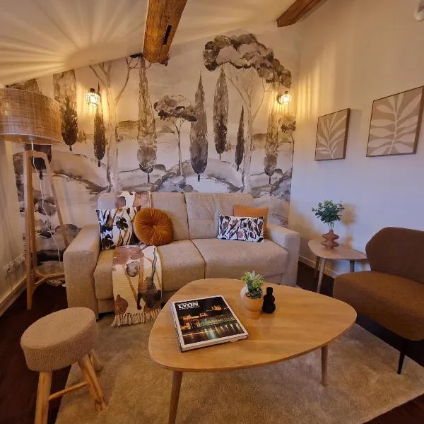 Suite Lodge，位于里昂的酒店