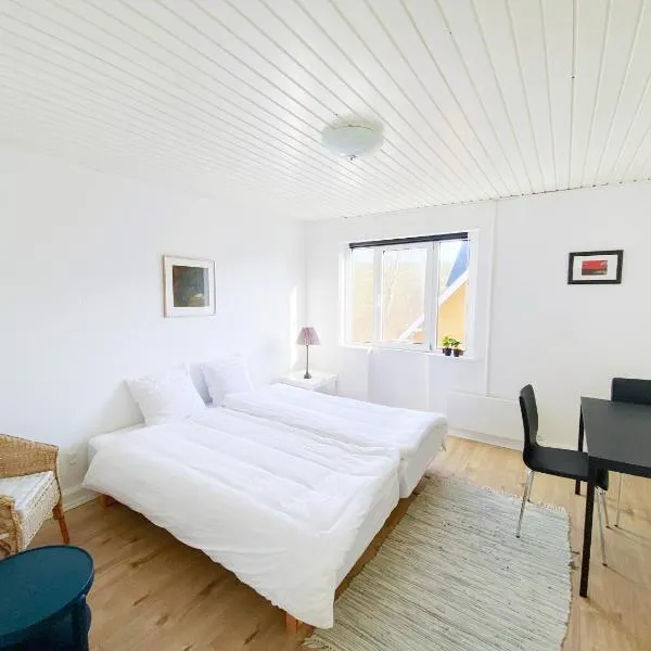 Viborg Guesthouse - Billig Overnatning Viborg，位于维堡的酒店