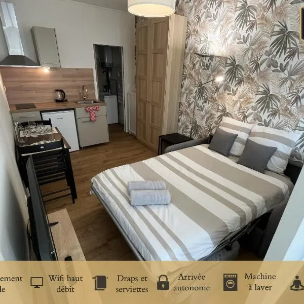 Le Voltaire，位于尼奥尔的酒店