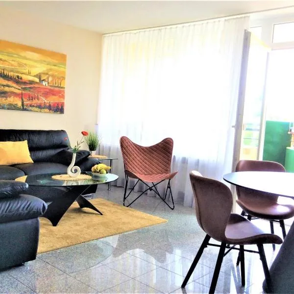 Ferienwohnung PanoramicHarz App459，位于布劳恩拉格的酒店