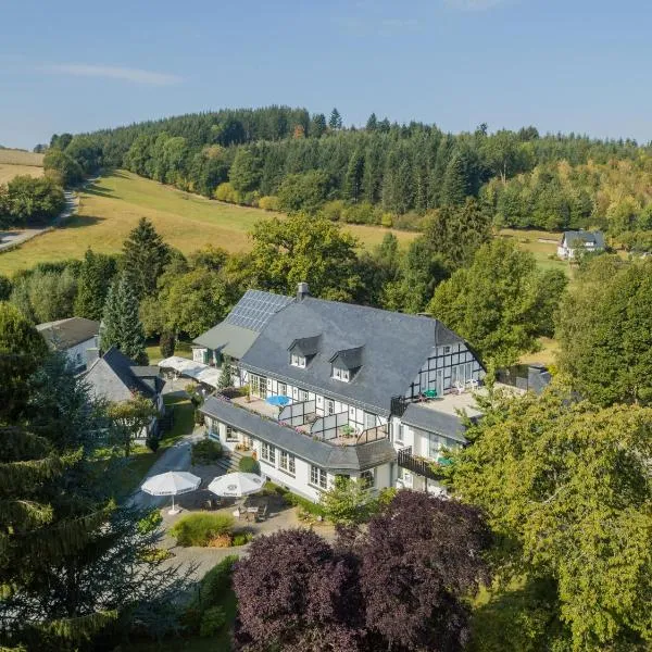 Landhof Grewen Mühle，位于梅舍德的酒店