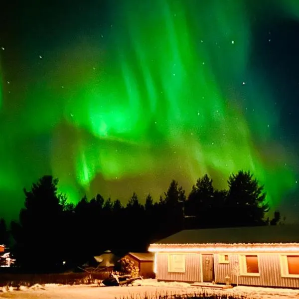 Willa Reindeer - komfortowy dom w sercu Laponii!，位于佩洛的酒店