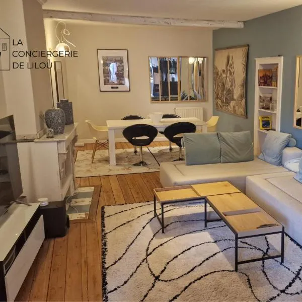 Hypercentre - suite parentale et grande terrasse，位于阿尔比的酒店