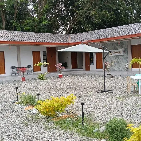 Wilson Hills Travelers Suites，位于圣胡安的酒店