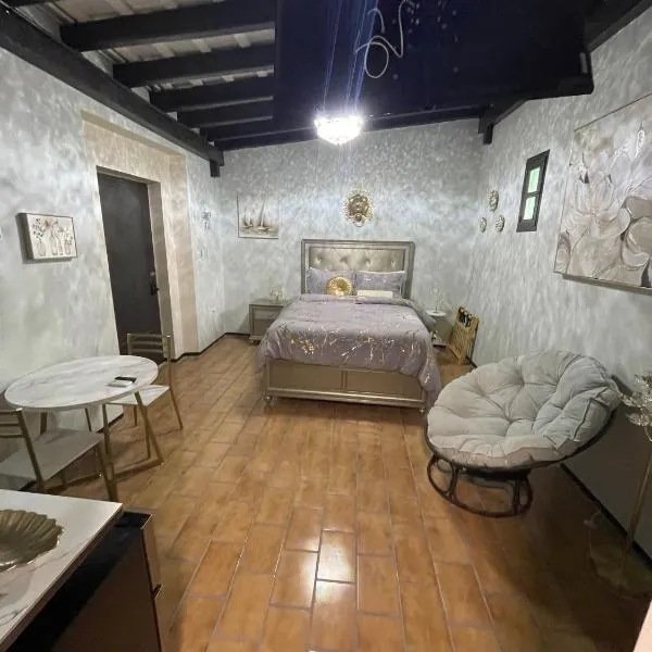 The Suites & Vintage Apartment at Casa Of Essence in heart of Old San Juan，位于圣胡安的酒店