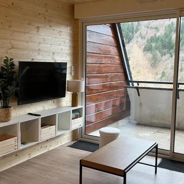 Studio cosy Mont-Dore avec vue, balcon, parking，位于勒蒙多尔的酒店