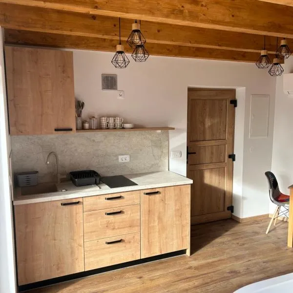 Borl Apartment，位于Gradišča的酒店
