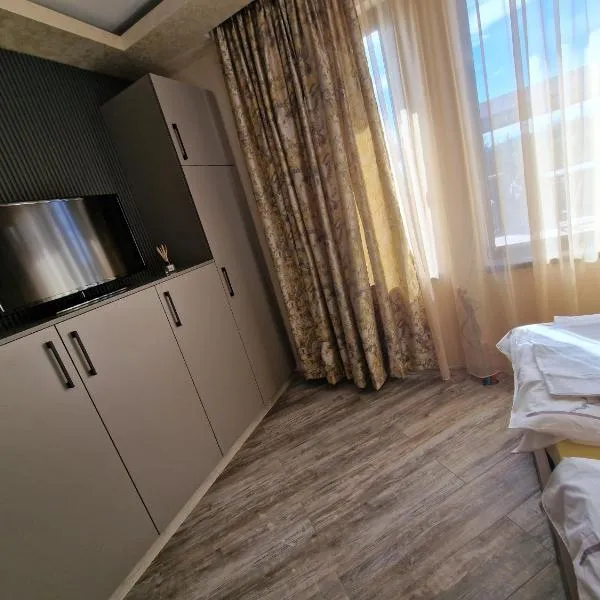 Black Swan guest rooms，位于Mechkarevo的酒店