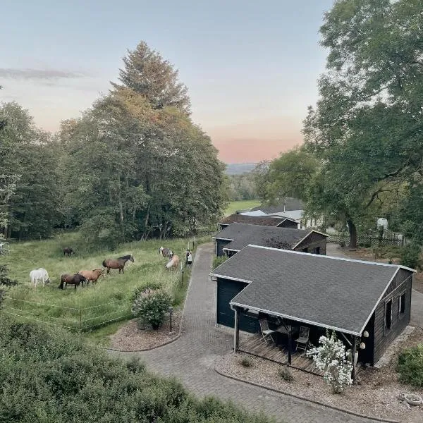Ludwigslust Vogtland de - Ideal für Naturliebhaber & Fellnasen，位于Mehltheuer的酒店