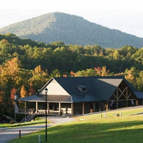 The Copperhead Lodge，位于布莱尔斯维尔的酒店