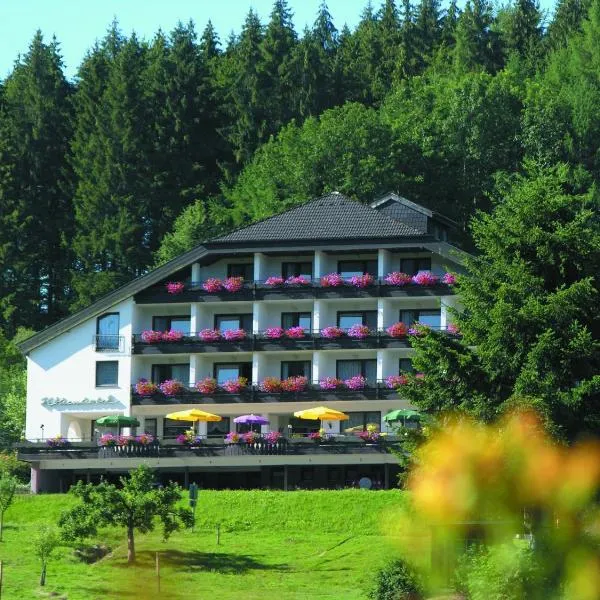 Pfeifles Höhenhotel，位于拜尔斯布龙的酒店
