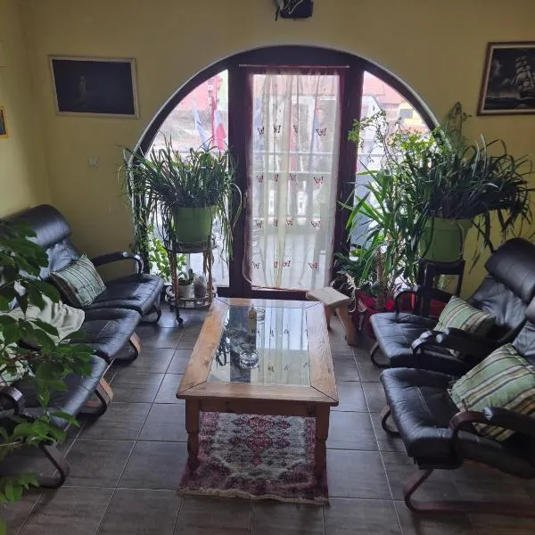 Vila Vienna，位于扎耶查尔的酒店