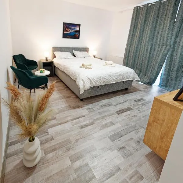 FLH - Studio Escape Din Munti，位于Sînpetru的酒店