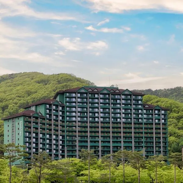 Sono Calm VivaldiPark，位于洪川郡的酒店