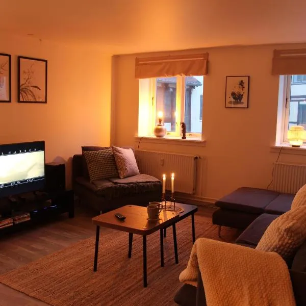 Visit wonderful Odense center - 3 bedroom appartment，位于欧登塞的酒店