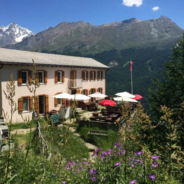 Edelweiss Zermatt - Mountain Hotel，位于琪纳尔的酒店