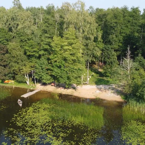 Ezera Roze Lake Cabin Sauna，位于Stacija Aglona的酒店