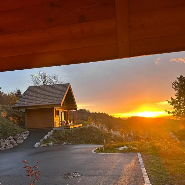 Gîte la Tanière de L'Ourse，位于Hohrod的酒店