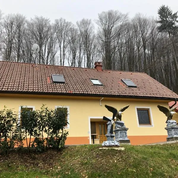 Ferienwohnung Ambassador，位于Bairisch Kölldorf的酒店