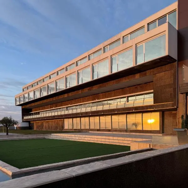 Hotel&Spa Alfândega Douro Valley，位于Sambade的酒店