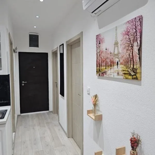 Taksim Apartman 1，位于伊加洛的酒店