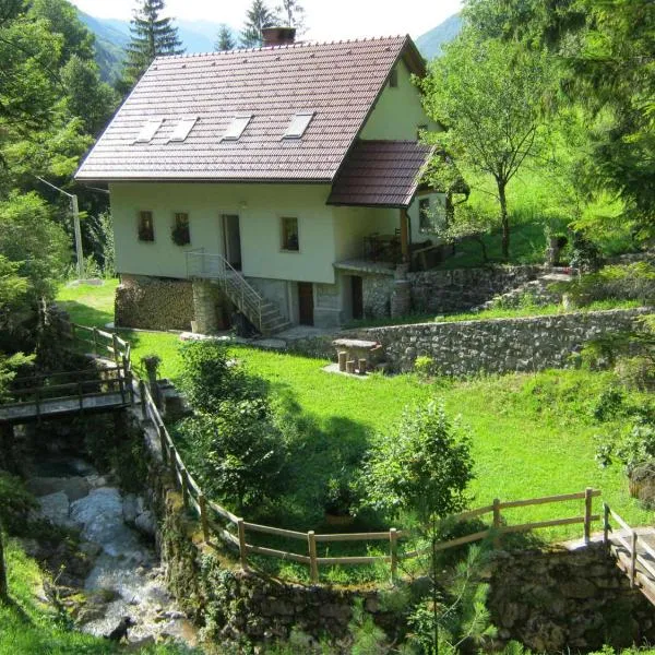 House Dolenja Trebuša，位于Podsabotin的酒店