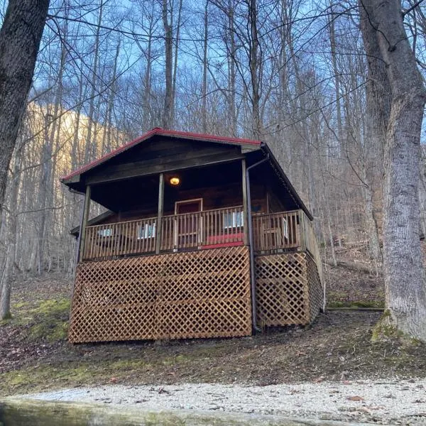 Sleepy Bear Cabin, Red River Gorge, KY, River Access & Views，位于Stanton的酒店