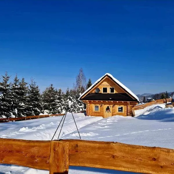 Góralskie Izby，位于科尼亚库夫的酒店