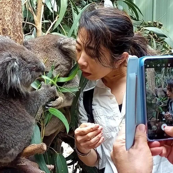 Fauna Australia Wildlife Experience，位于Lavers Hill的酒店