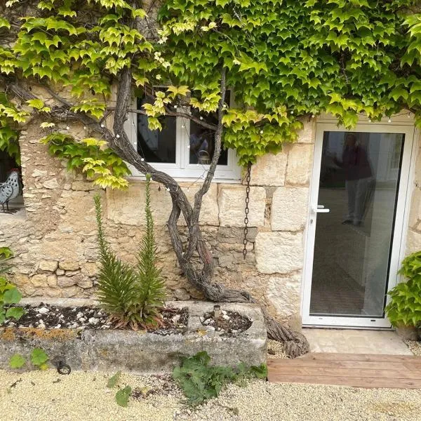 Maison Les Iris - 2 chambres et 2 salles de bain - 2 à 4 personnes - Futuroscope，位于阿瓦同的酒店