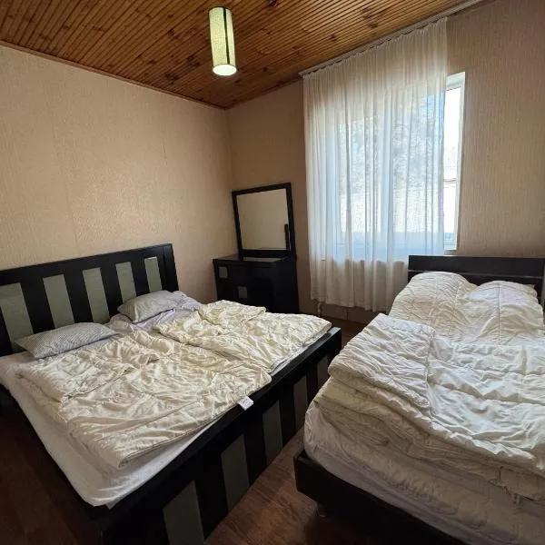 Home in Bakuriani，位于巴库里阿尼的酒店