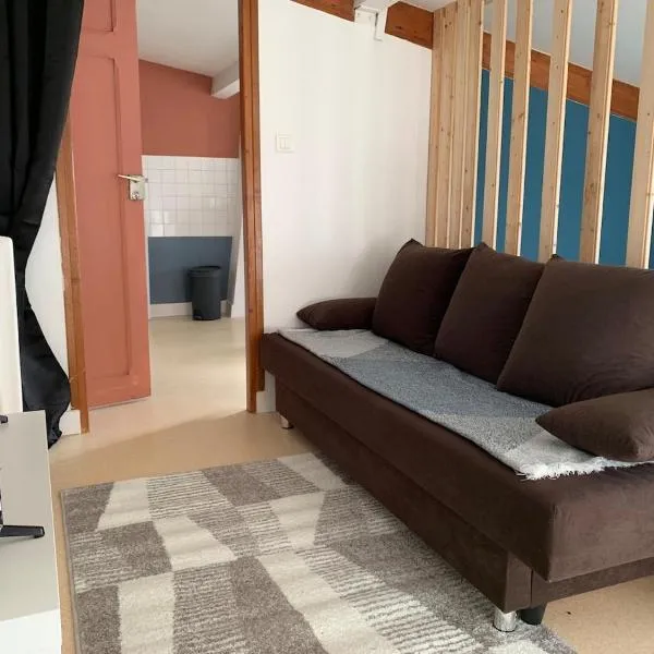 Appartement charmant face au haras，位于圣洛的酒店