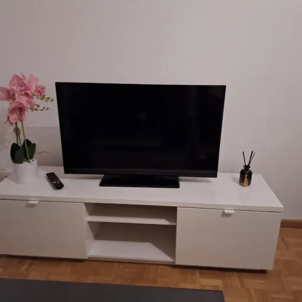 "Anna "Ferienwohnung nähe Universität，位于巴塞尔的酒店