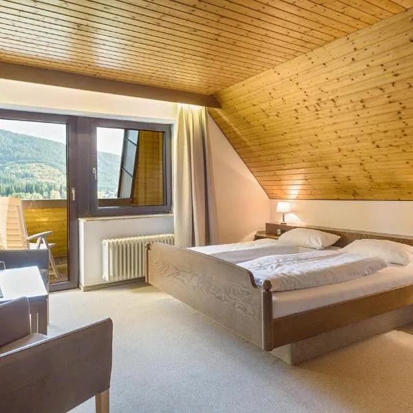 Drei Tannen - Wohnung 11 - Apartmenthaus, Titisee, Feldberg，位于Titisee的酒店