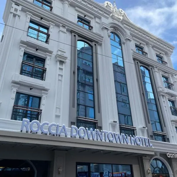 Roccia DownTown Otel，位于凡城的酒店