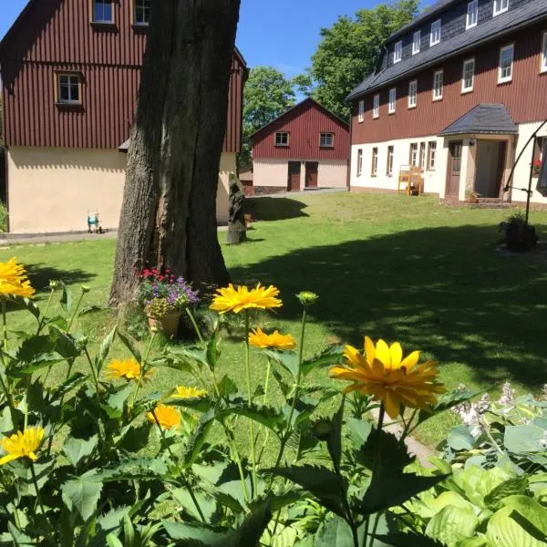 Verlegerhaus Seiffen，位于库洛特塞芬的酒店
