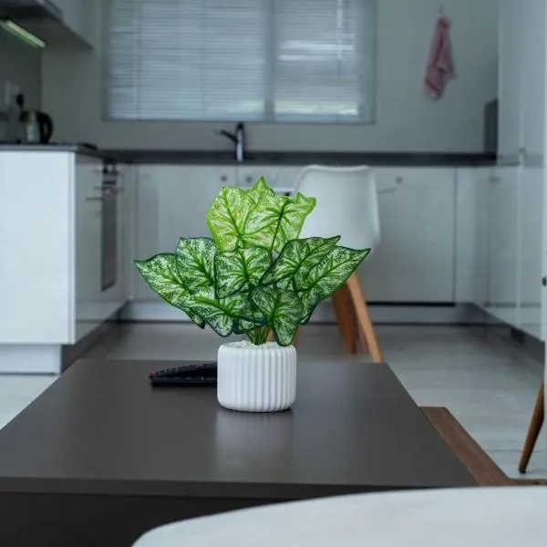 Feelathome，位于米德兰的酒店