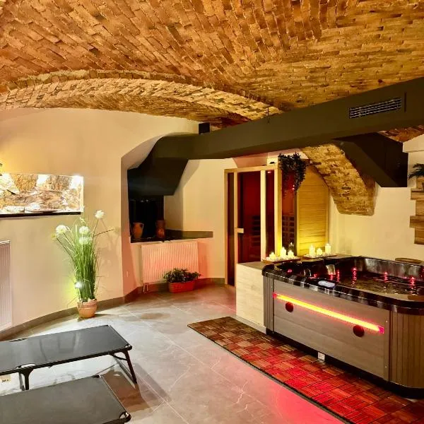 Celje Spa Apartment，位于采列的酒店