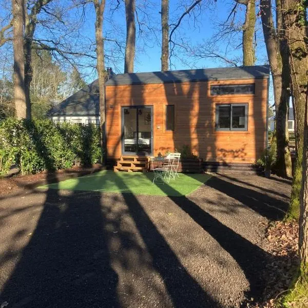 Tiny House，位于阿夫里耶的酒店