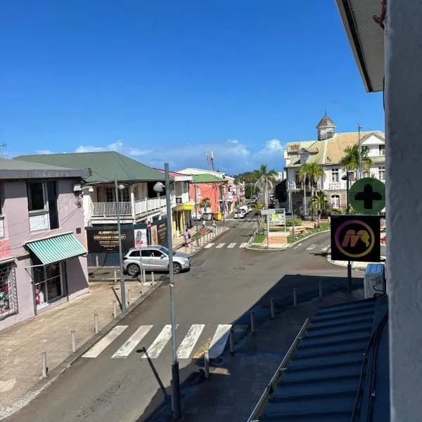 Appartement cosy, Sud, Centre ville，位于勒弗朗索瓦的酒店