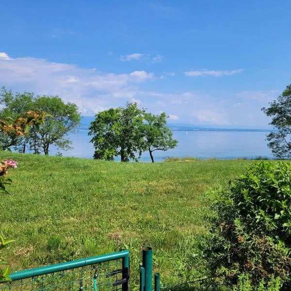 Appartement les pieds dans le Lac Léman，位于Anthy的酒店