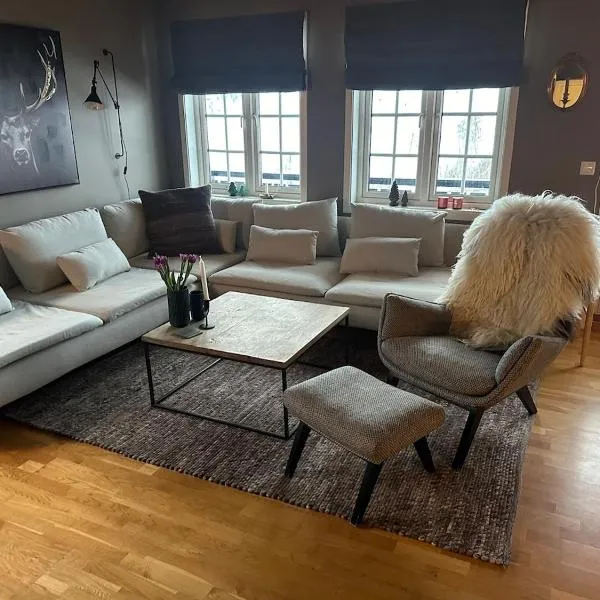 Leilighet i 1 etg Røldal，位于Håra的酒店