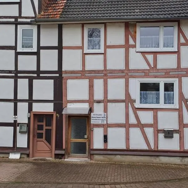 Wohnung 3 Tollgauer，位于弗里茨拉尔的酒店