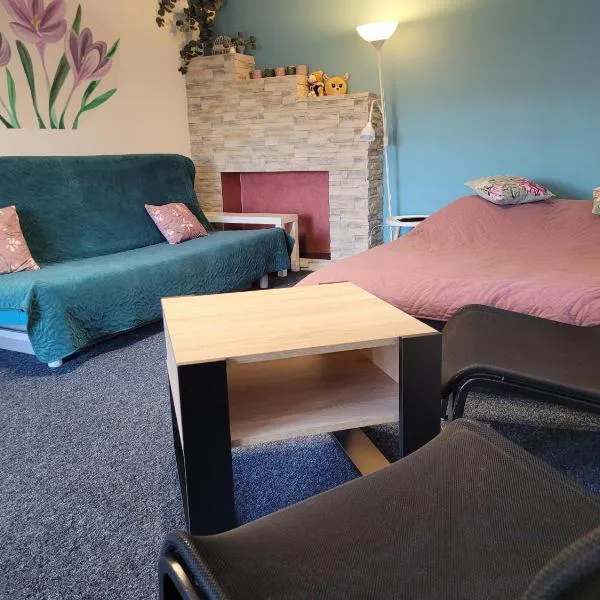 Apartamencik Pod Krokusem 2，位于拉布卡的酒店