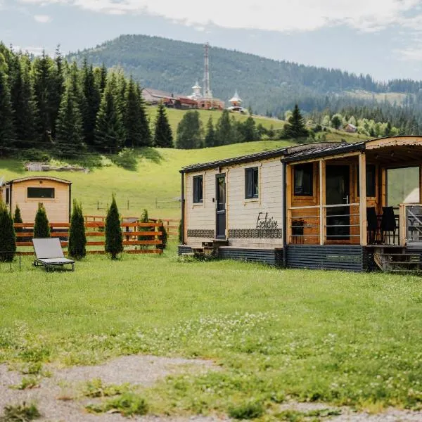 La Casuta din Ciocanesti Exclusive，位于Ciocăneşti的酒店