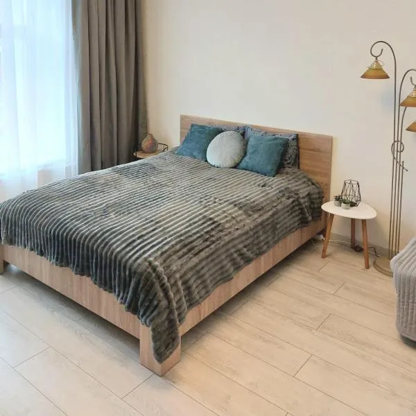 VL Apartment，位于雷泽克内的酒店