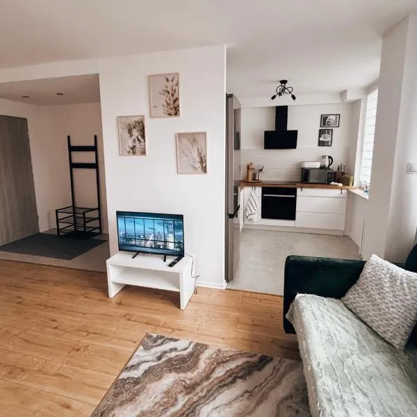 Apartament Świdnik Kosik，位于斯维德尼克的酒店