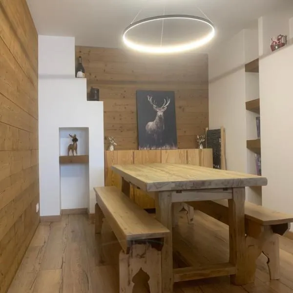 Appartement 78m2 pied des pistes，位于安格勒的酒店