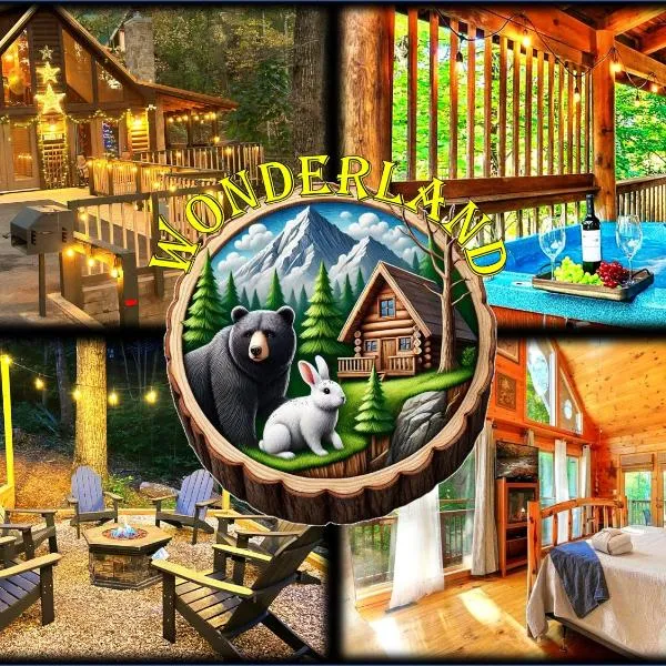 Wonderland Cabin，位于赛维尔维尔的酒店